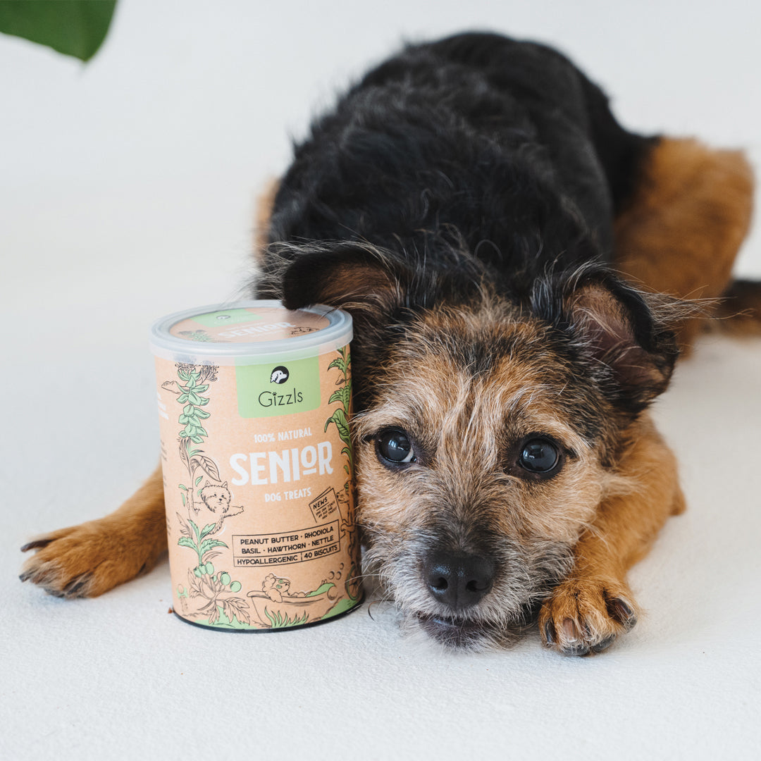 Senior Dog Treats