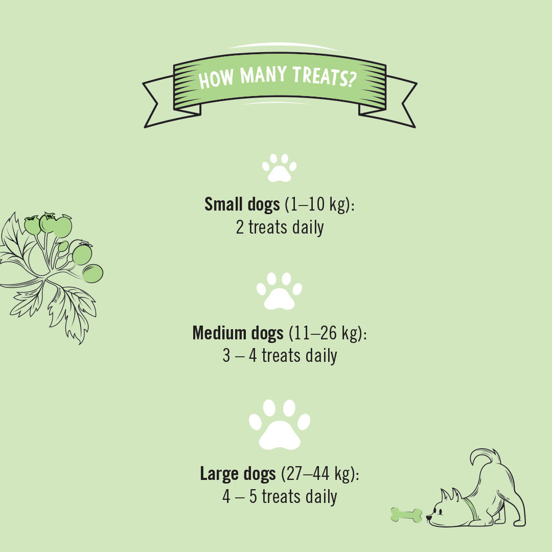 Senior Dog Treats