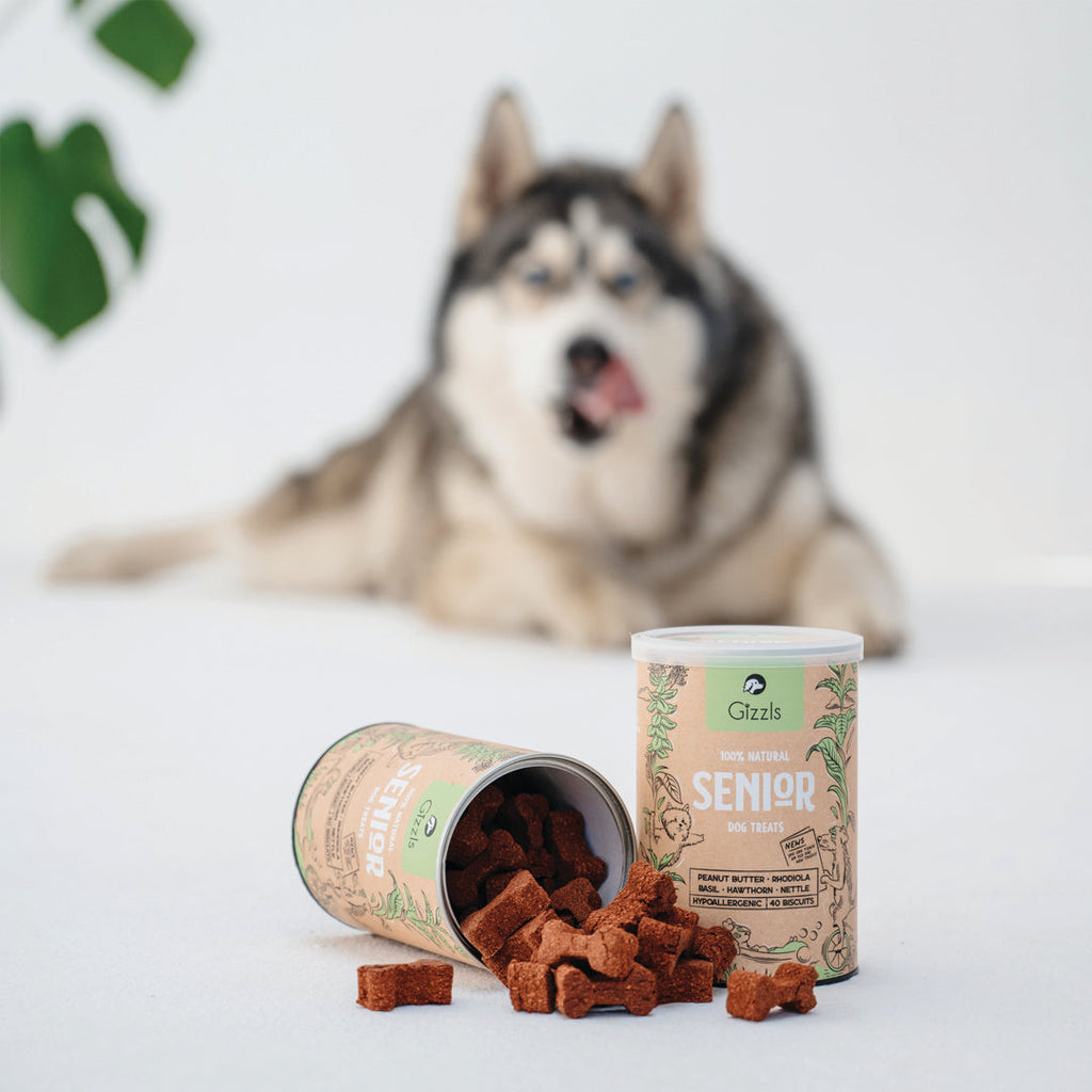 Senior Dog Treats