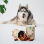 Senior Dog Treats