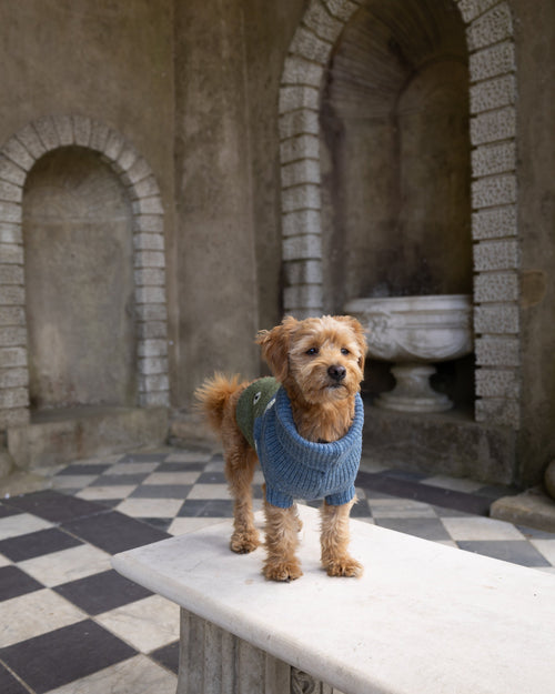 Blackface Sheep Dog Jumper in British Wool