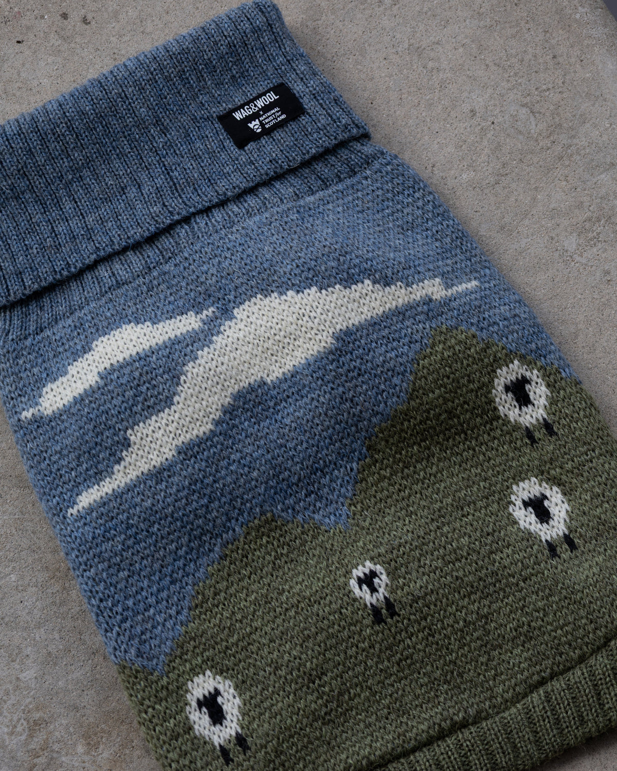 Blackface Sheep Dog Jumper in British Wool