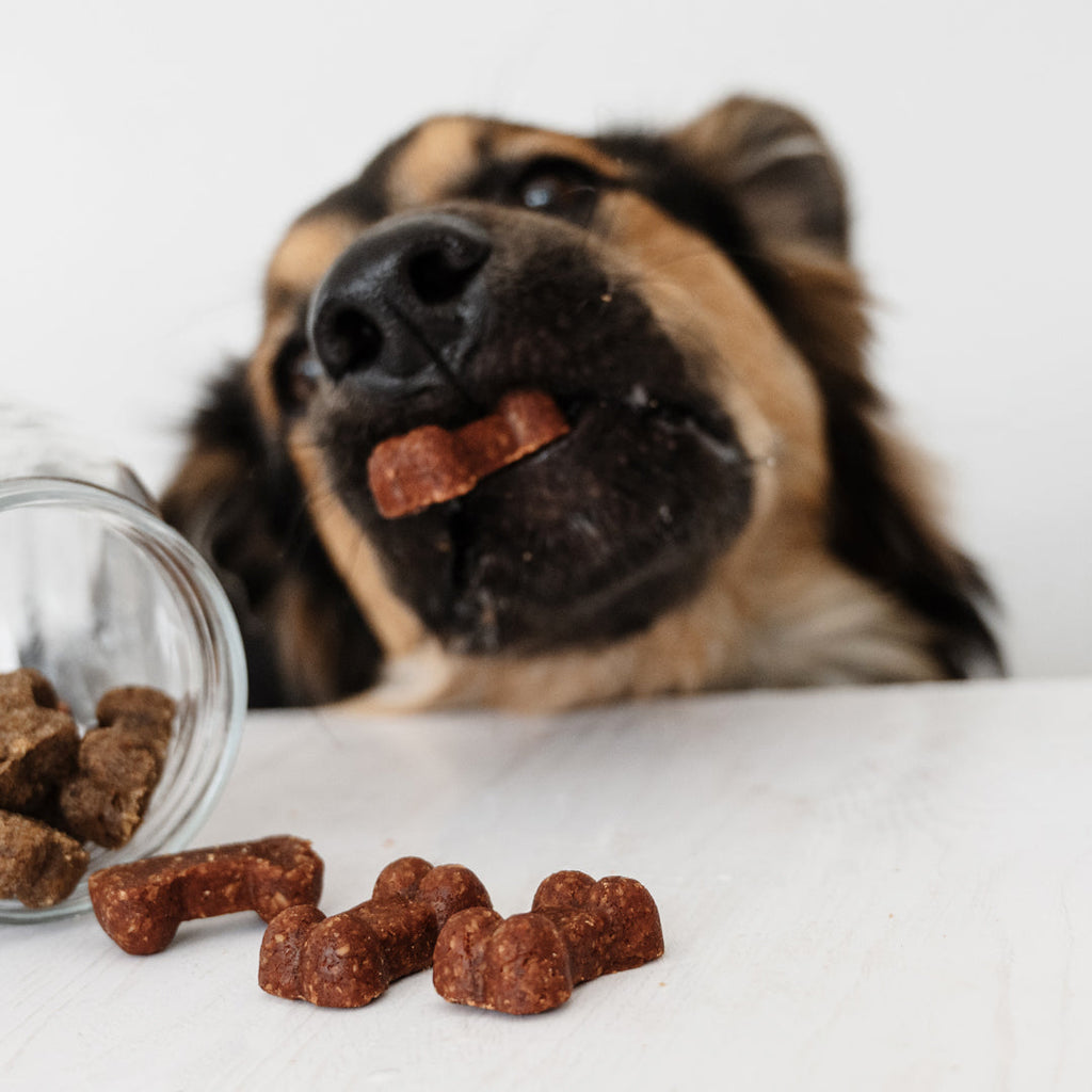 Soft Bites Treat Bundle (150g)