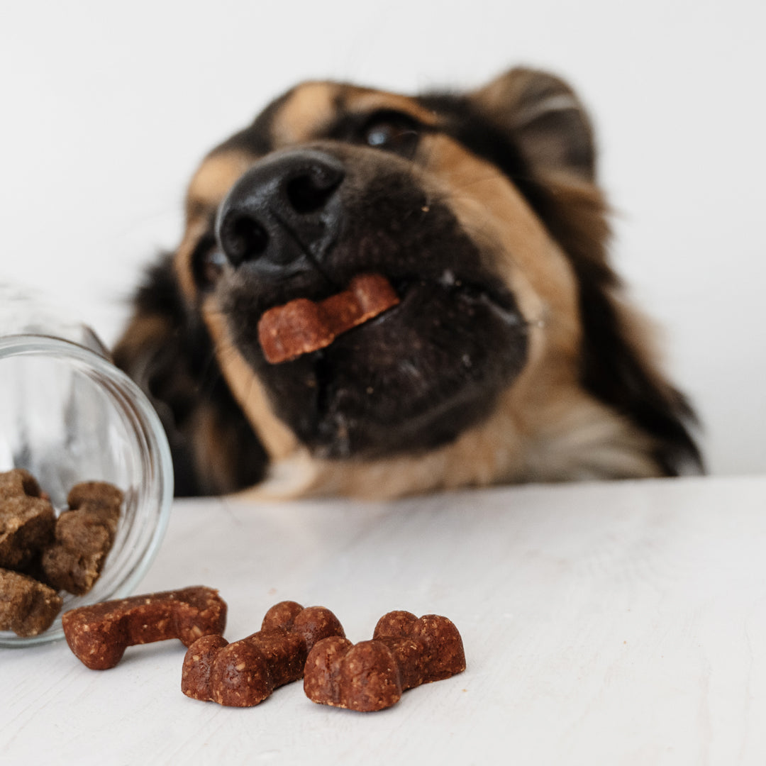 Soft Bites Treat Bundle (150g)