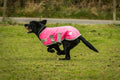 Waterproof Dog Coat - High Viz Pink
