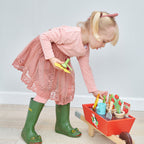 Garden Wheelbarrow Set