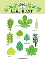 Forest Trail Kit