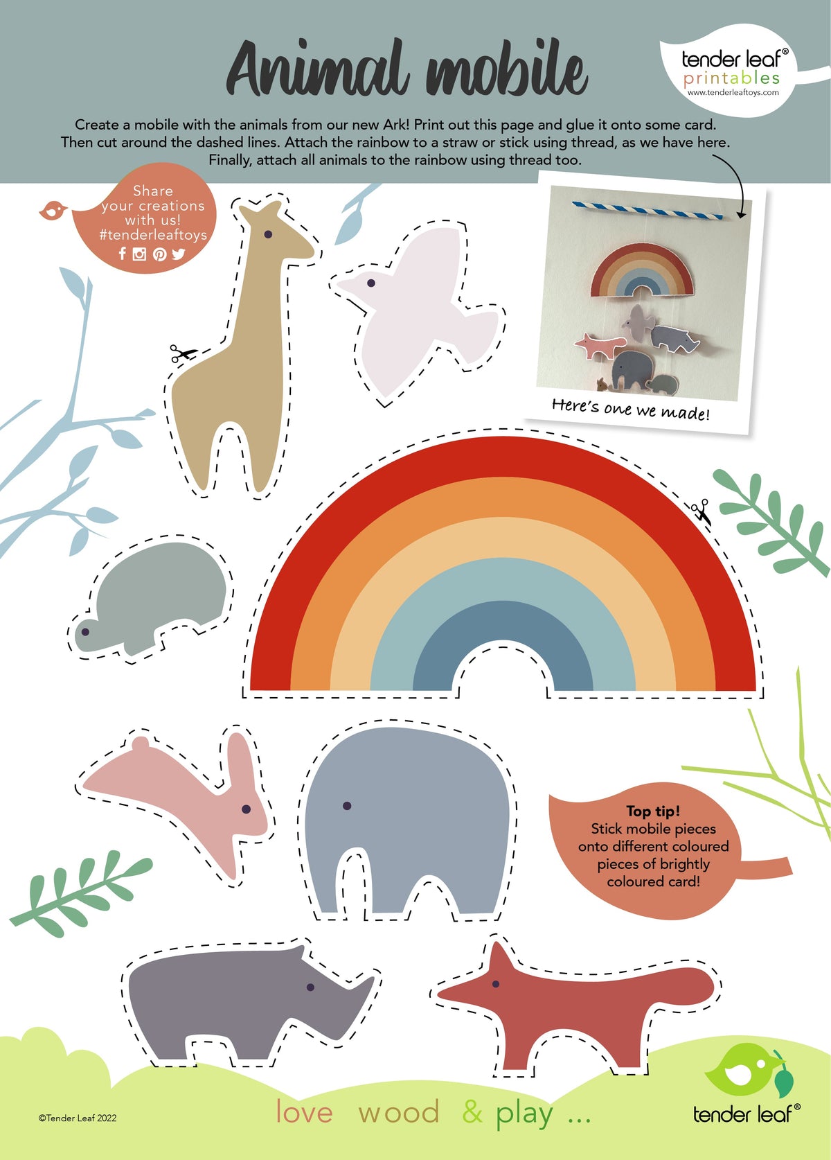 Little Noah's Ark