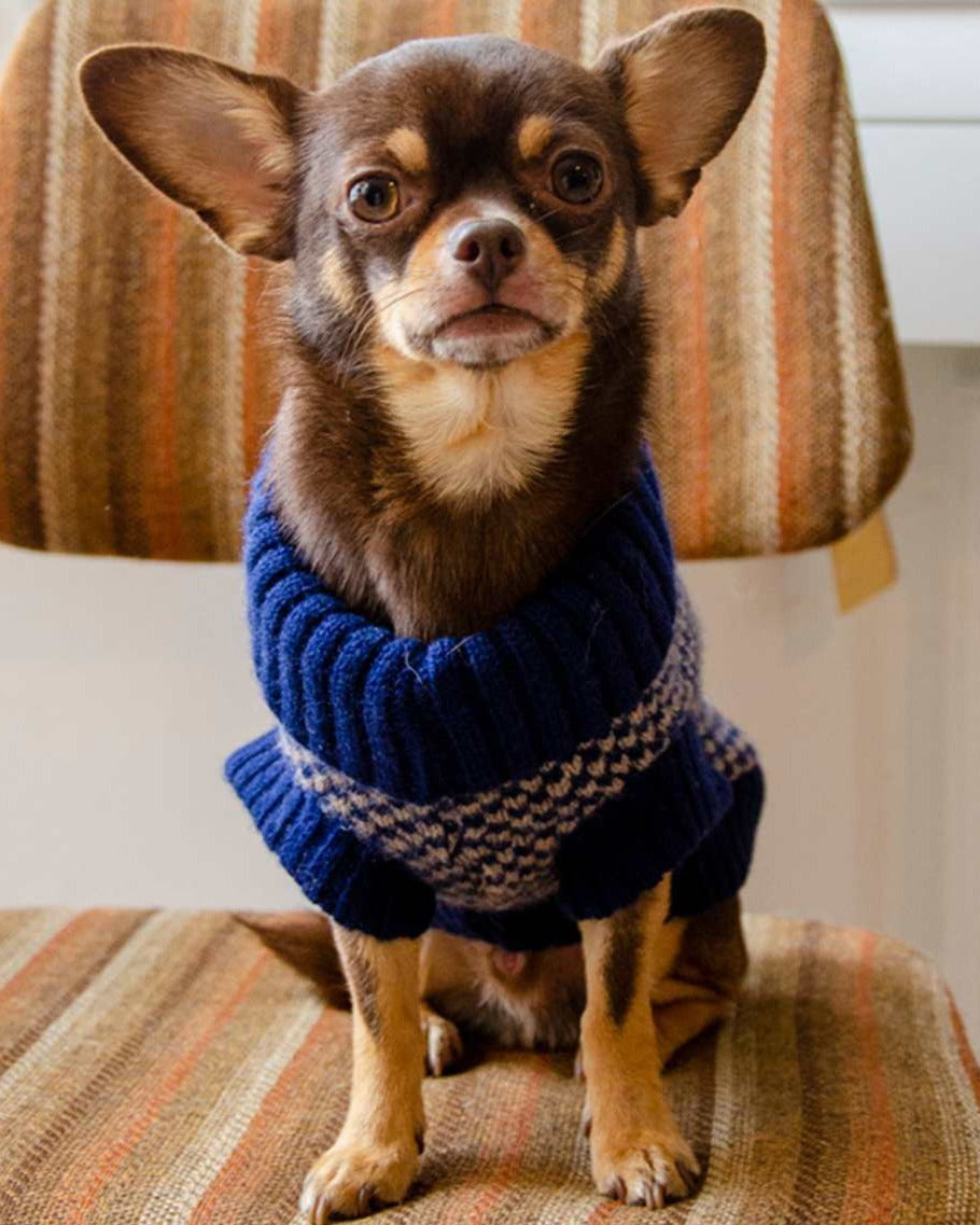 Navy Dog Jumper In Merino Lambswool