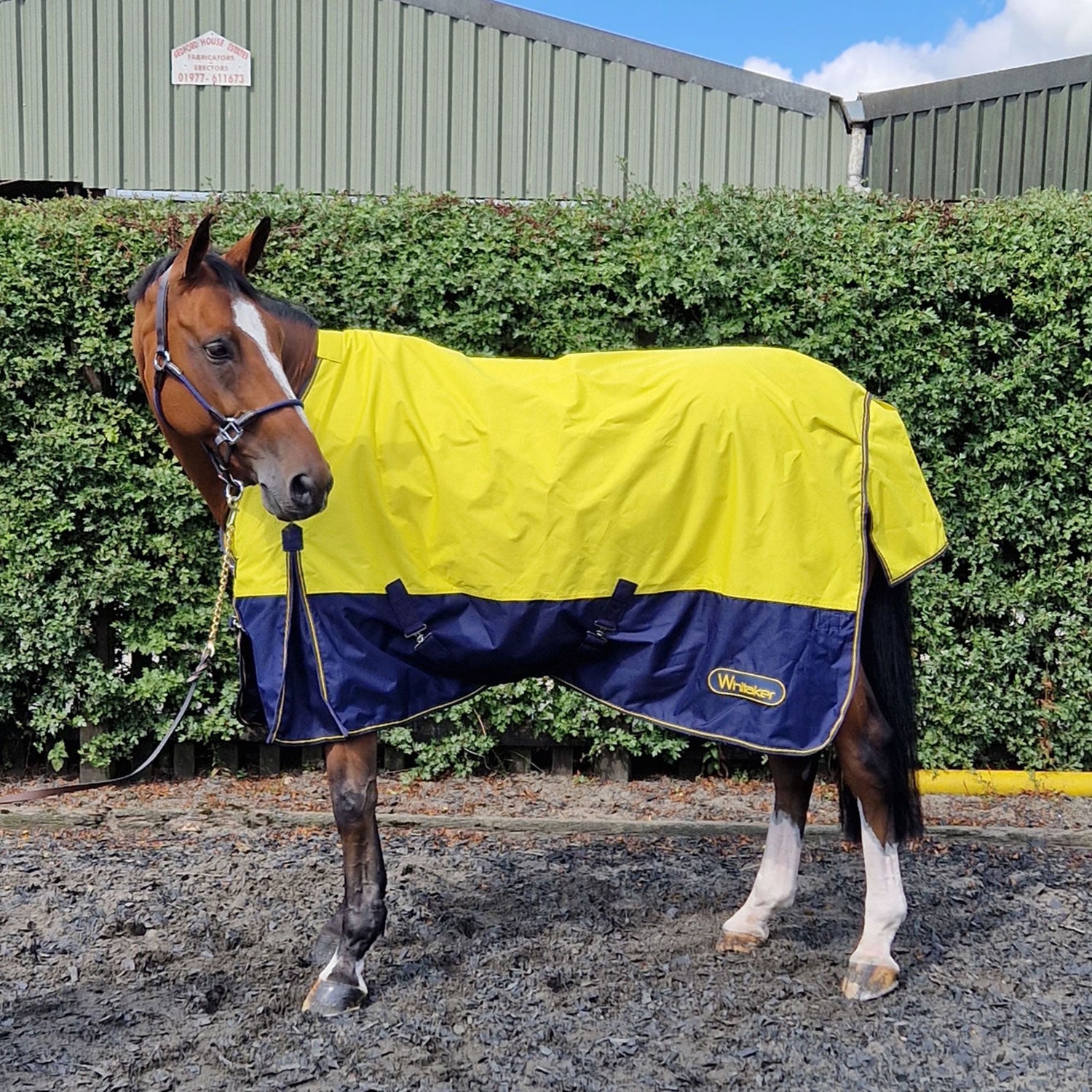 Whitaker Hornsea Turnout Rug 0gm Yellow
