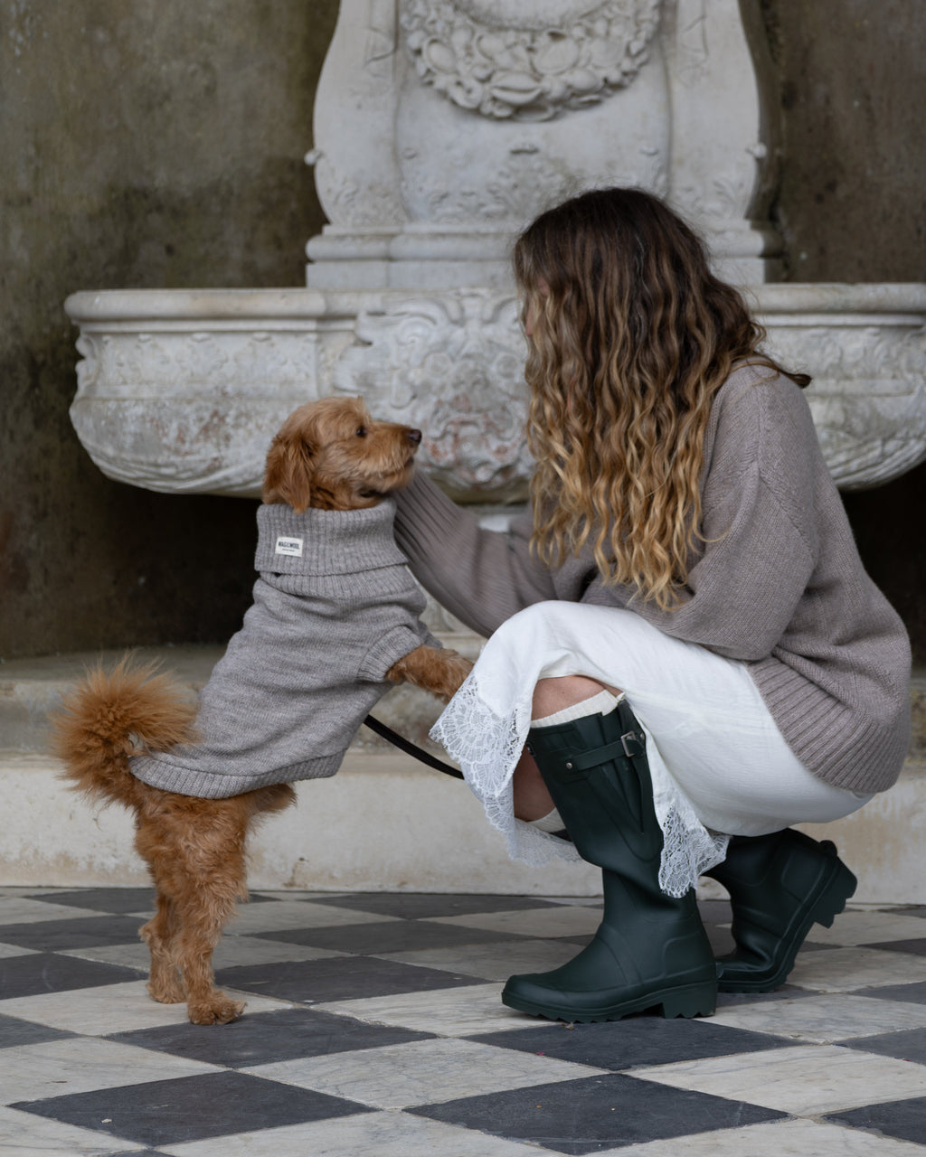 Oatmeal British Wool Dog Jumper