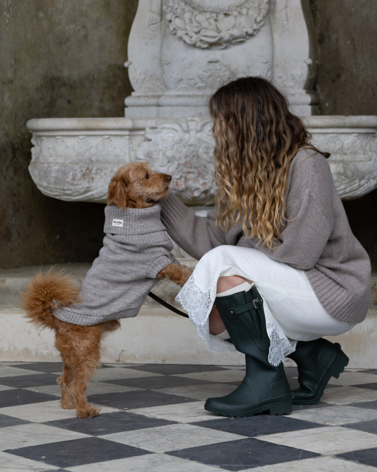 Oatmeal British Wool Dog Jumper