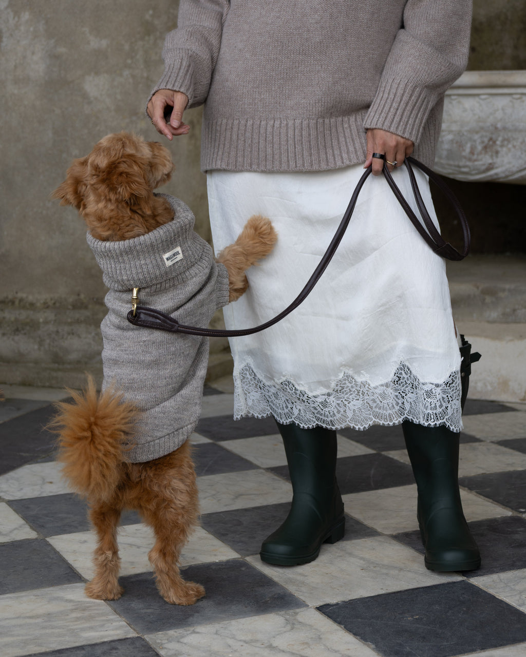 Oatmeal British Wool Dog Jumper