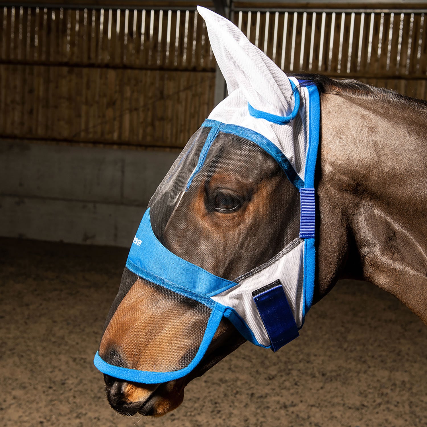 Whitaker Fv035 Salvador Deluxefly Mask White/blue