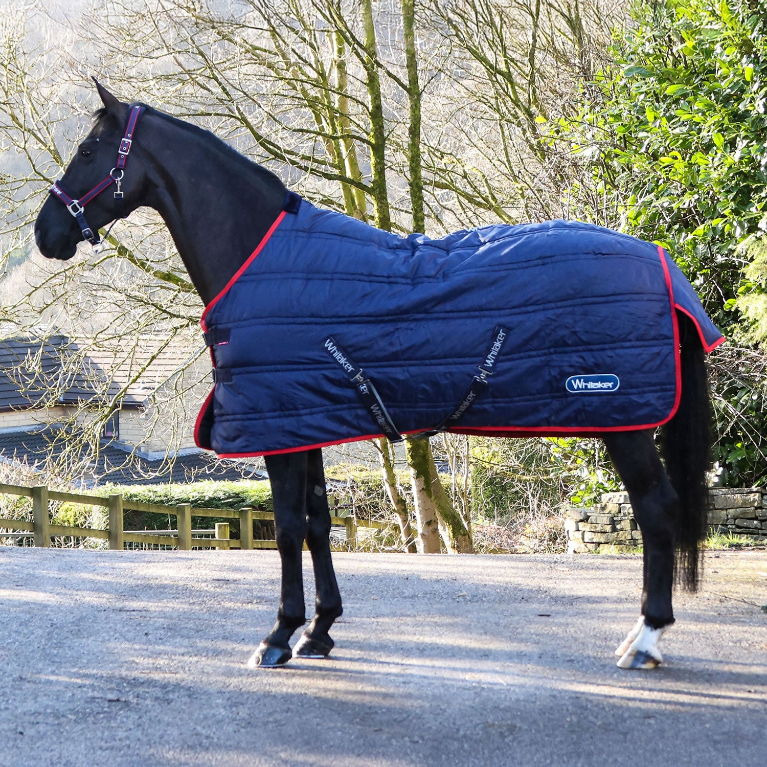 Whitaker R451 Rastrick V2 200gstandard Stable Rug Navy