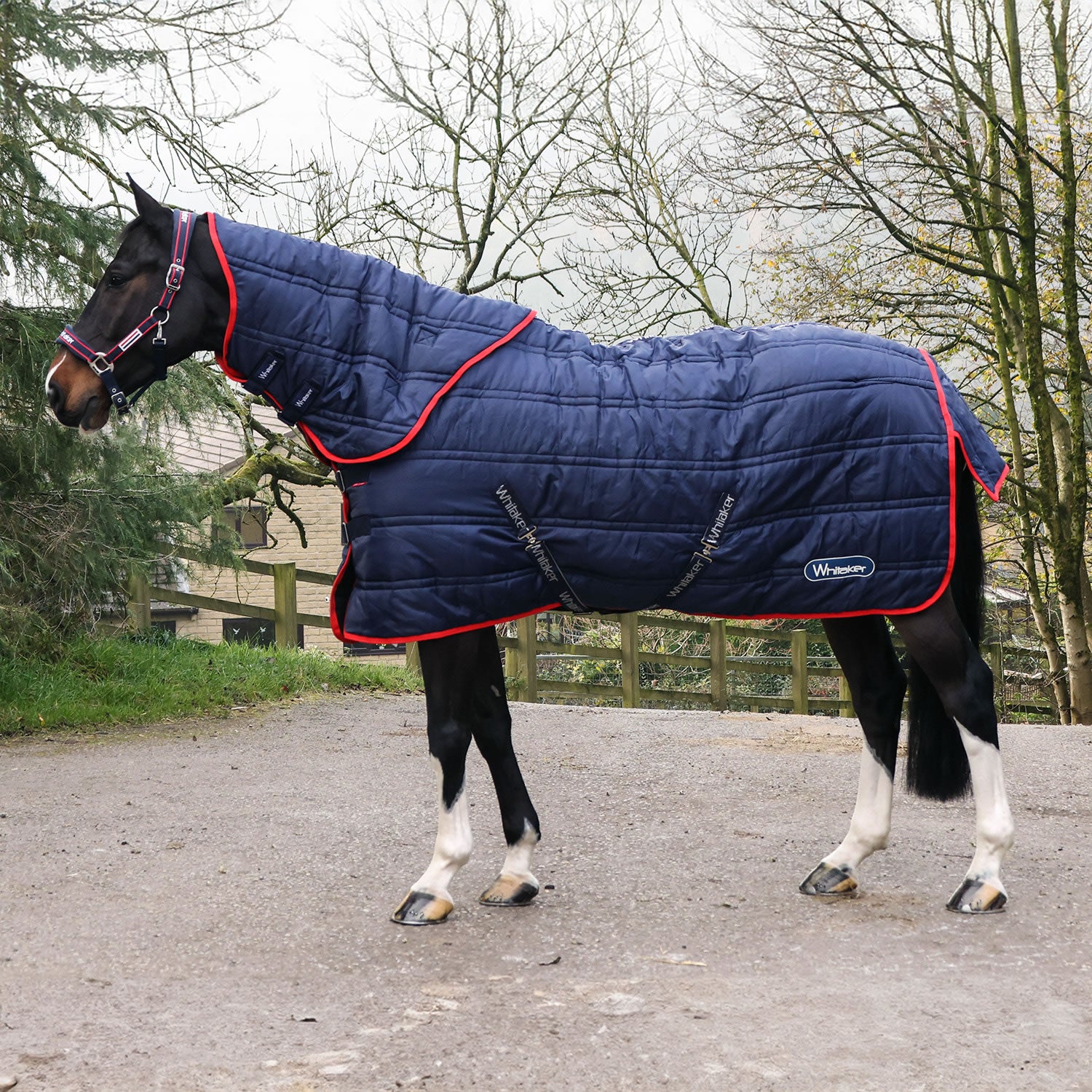 Whitaker R453 Rastrick V2 250gstable Rug Combo Navy