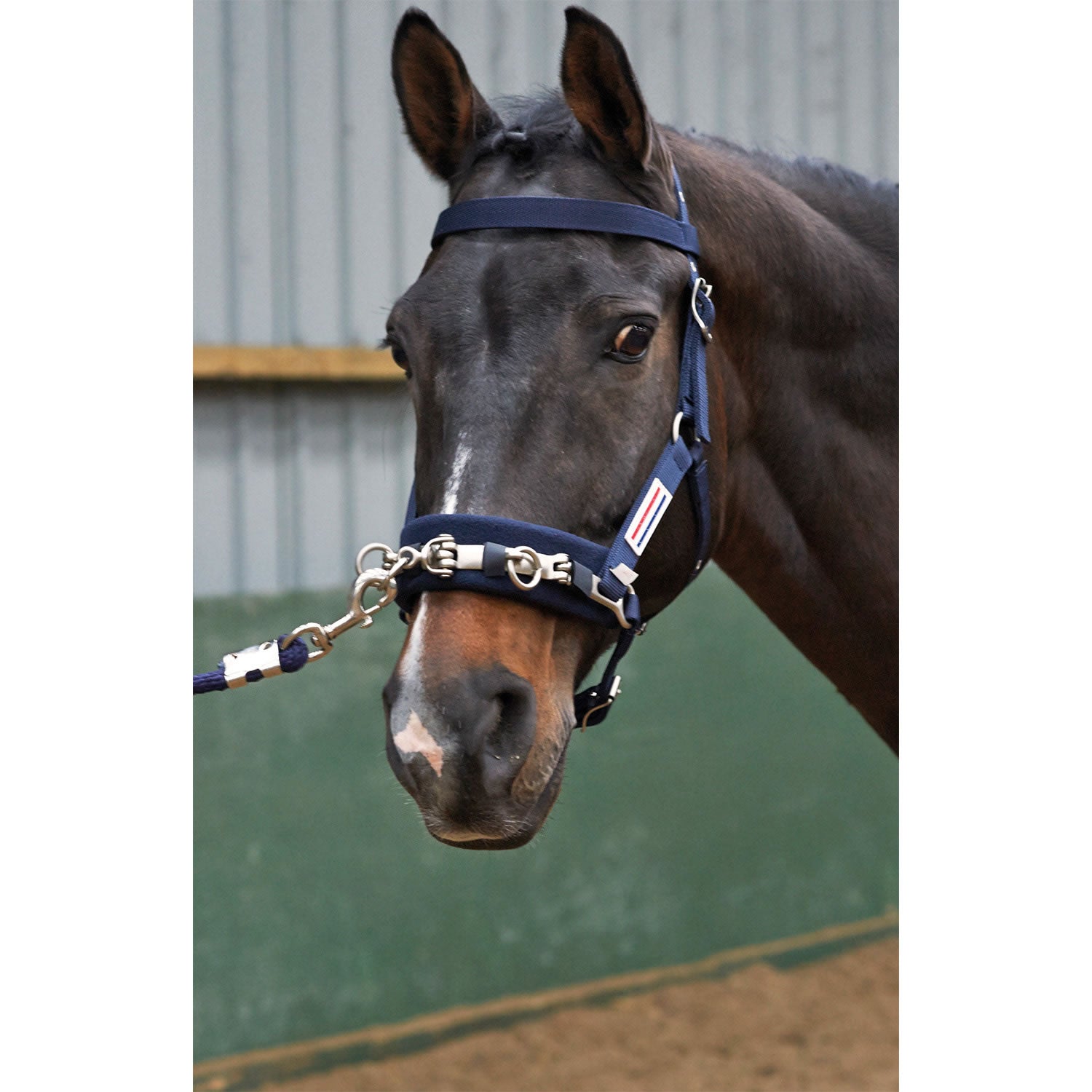 Whitaker Lcav Lunge Cavesson Navy