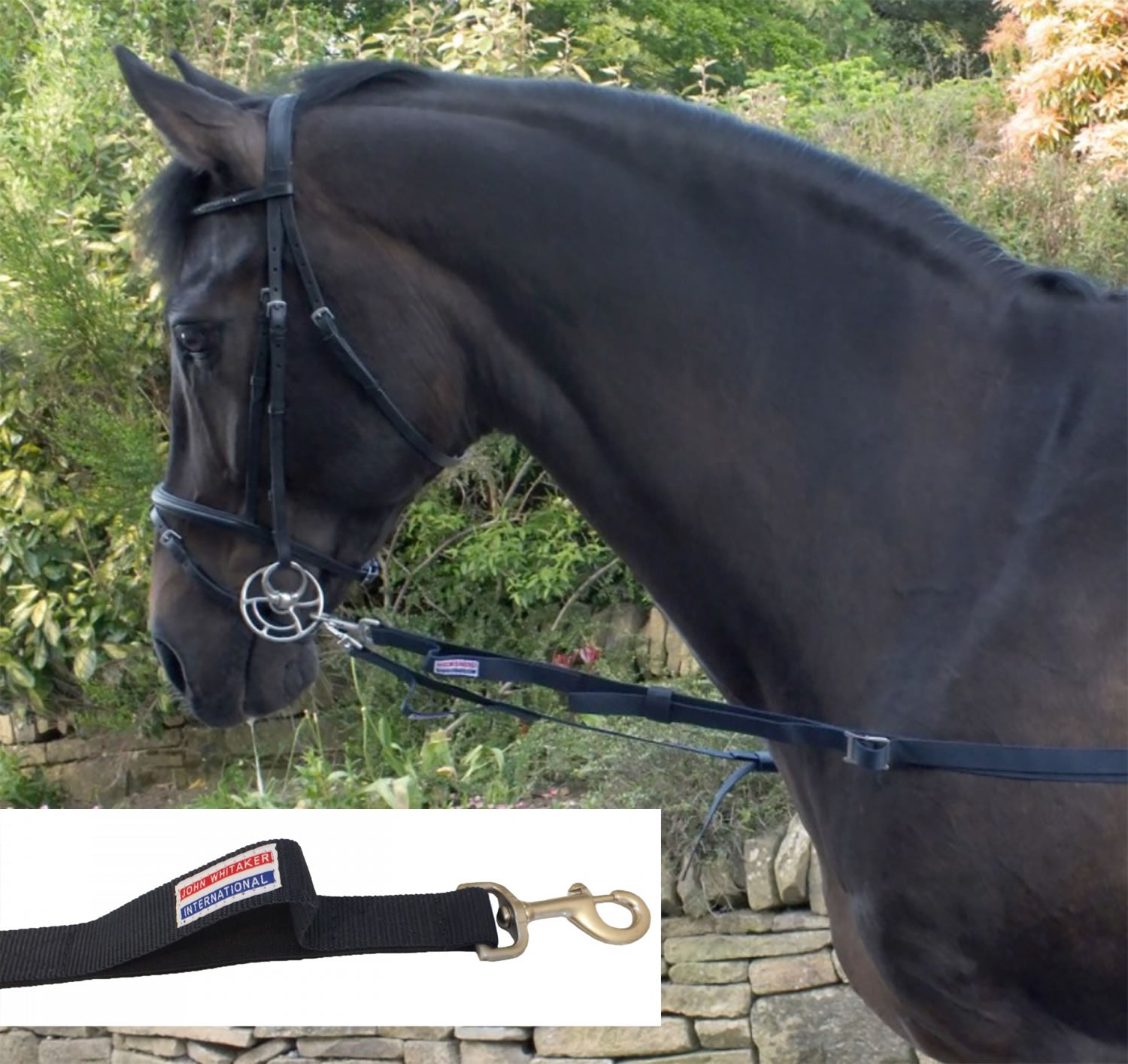 Whitaker Asr Elasticated Sidereins Navy