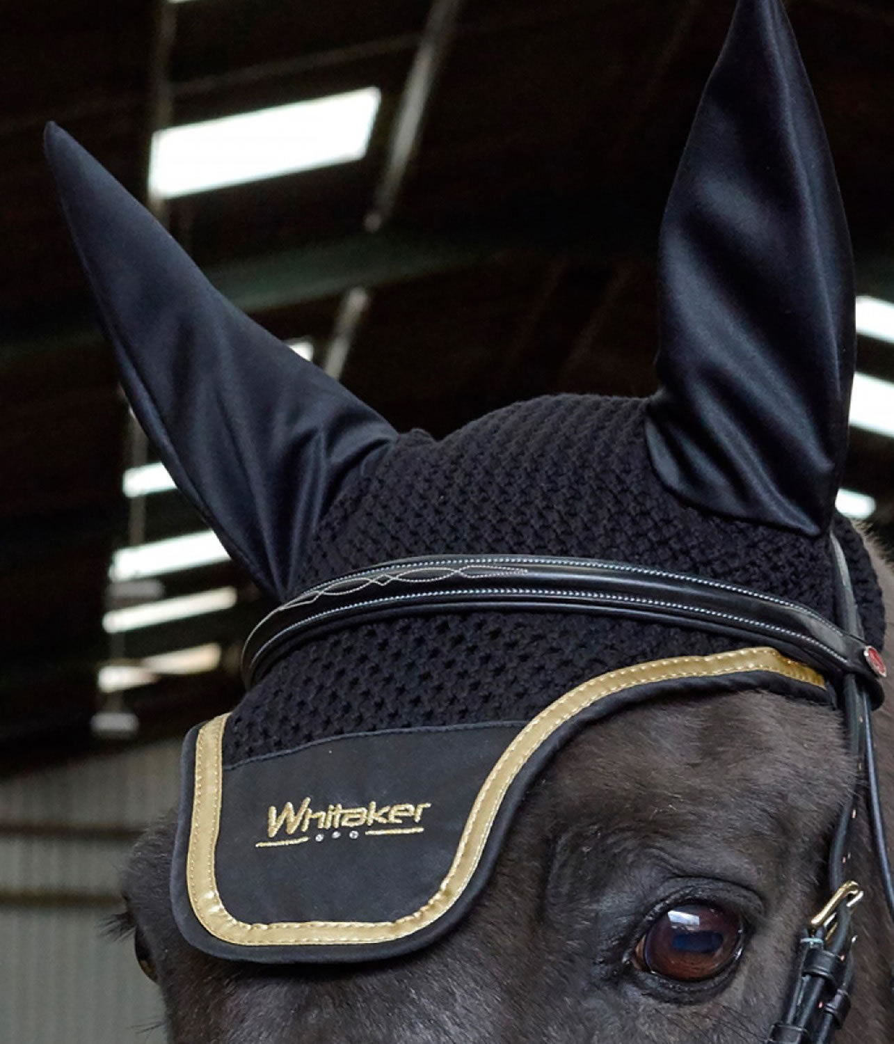 Whitaker Fv081 Thornton Fly Veil Black/gold