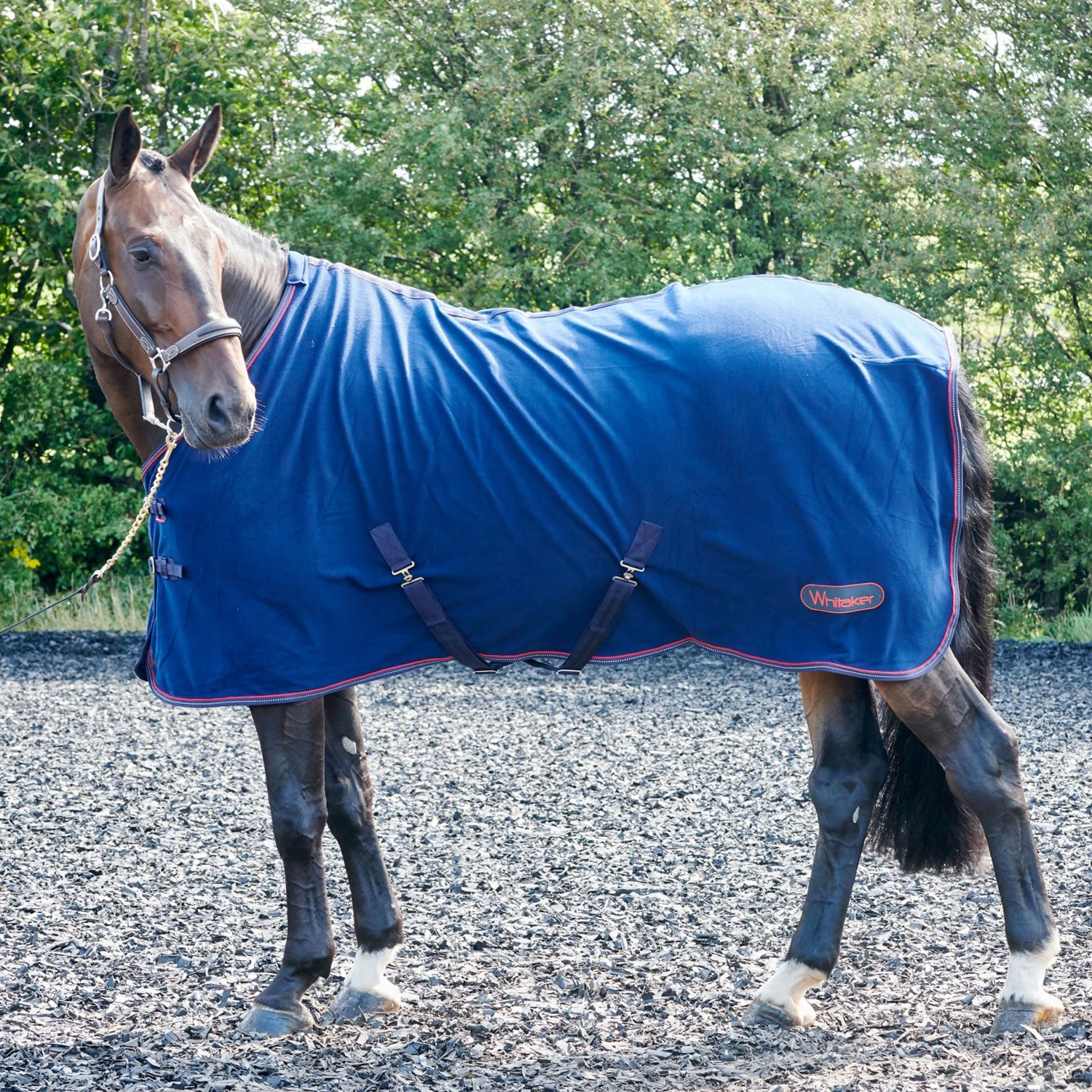 Whitaker R204 Rastrick Fleece Rug Navy/reflective