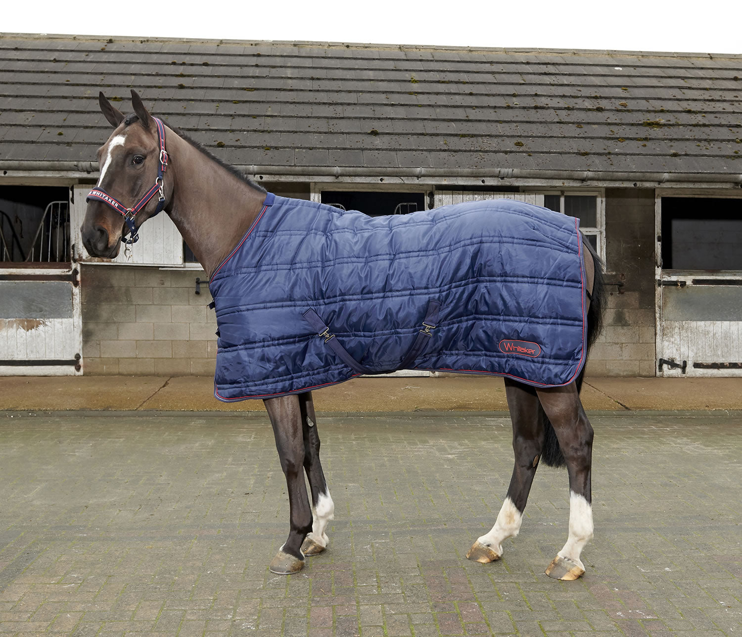 Whitaker R199 Rastrick 200g Stable Rug Reflective Navy