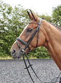 Whitaker Br078 Barton Bling Flash Bridle Black