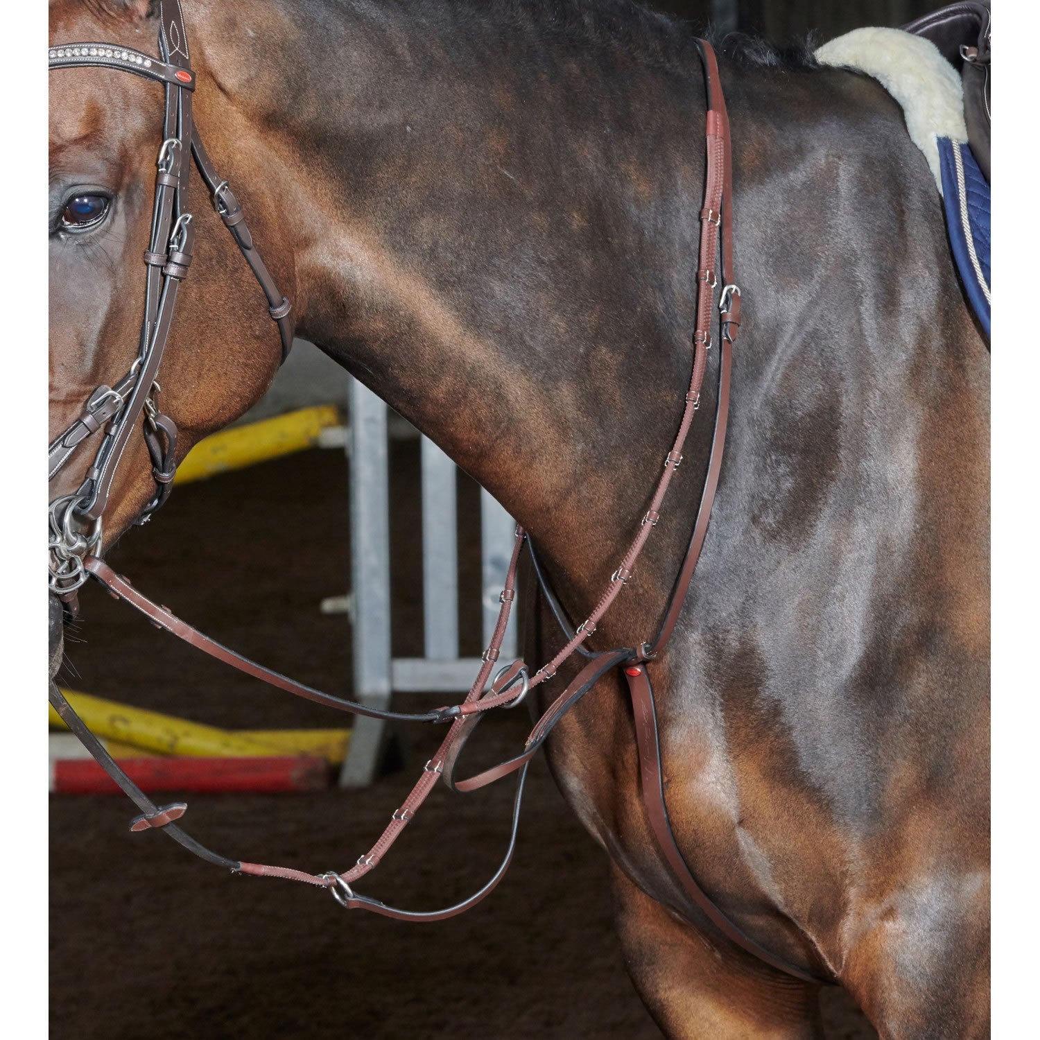 Whitaker Ma077 Barton Martingale Havana