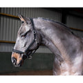 Whitaker Hc054 Ready to Ride Headcollar Black
