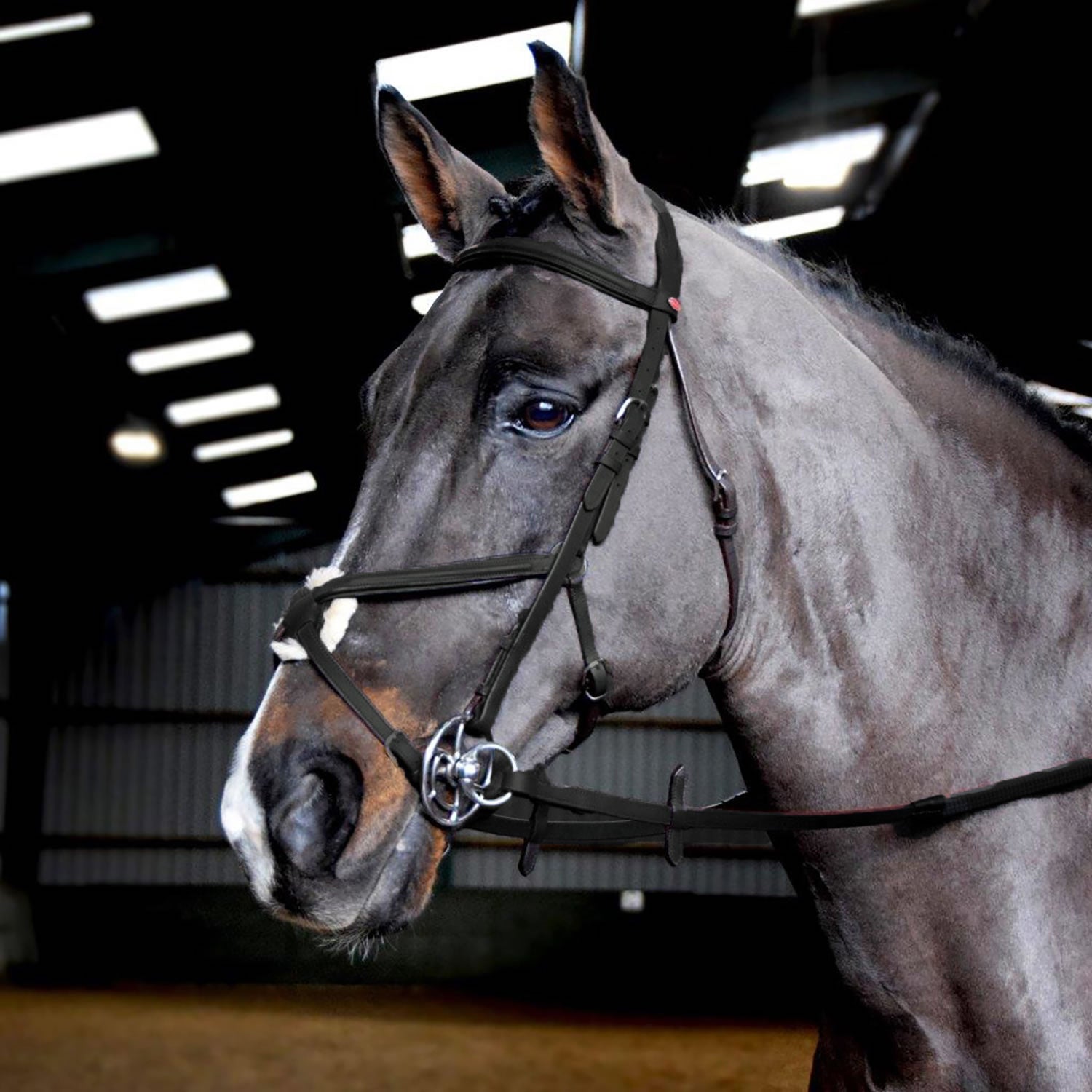 Whitaker Br055 Ready to Ride Mexican Bridle Black
