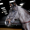 Whitaker Br055 Ready to Ride Mexican Bridle Havana