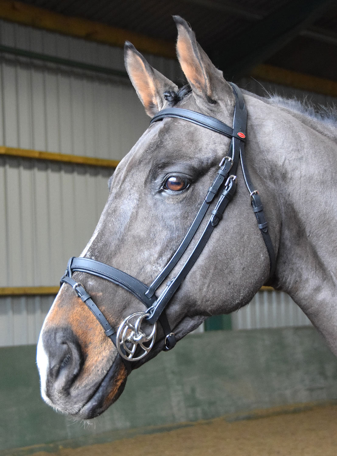 Whitaker Br056 Ready to Ride Snaffle Bridle Black