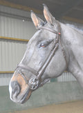 Whitaker Br056 Ready to Ride Snaffle Bridle Havana