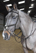 Whitaker Ma054 Ready to Ride Martingale Black