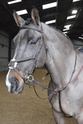 Whitaker Ma054 Ready to Ride Martingale Havana