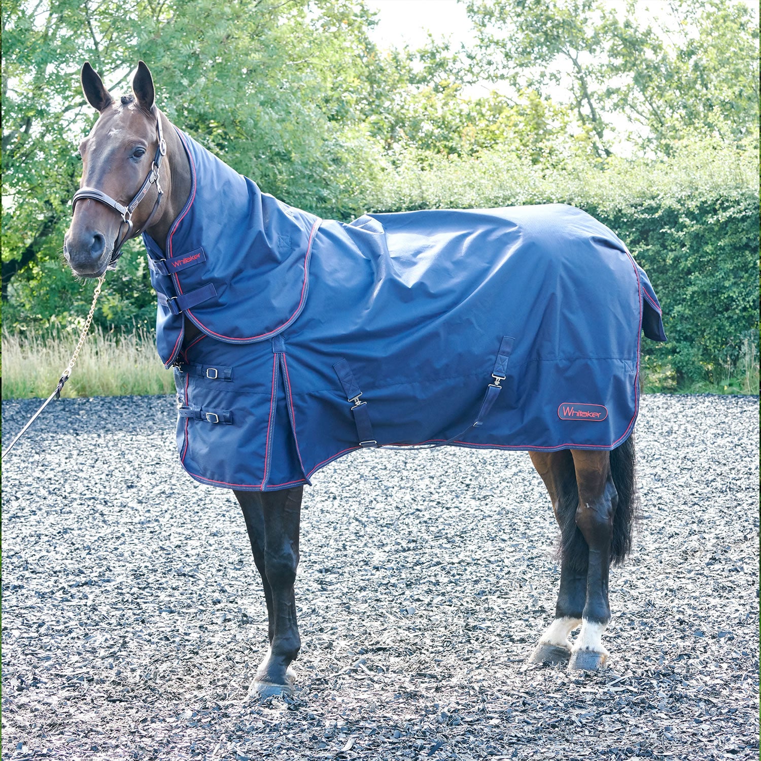 Whitaker R188 Rastrick 250g Tuturnout Rug Combo Blue/red