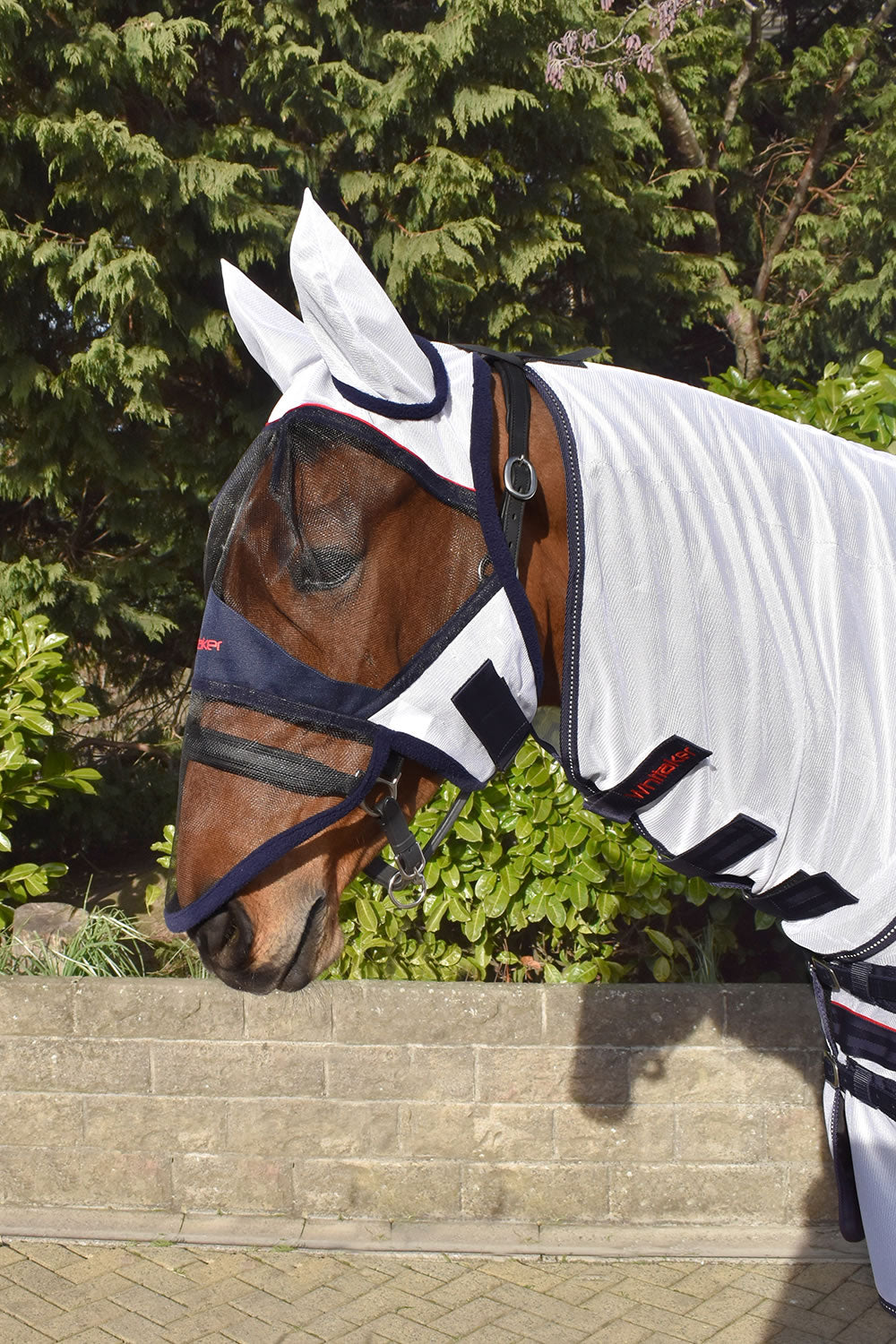 Whitaker Fv202 Rastrick Fly Face Shield