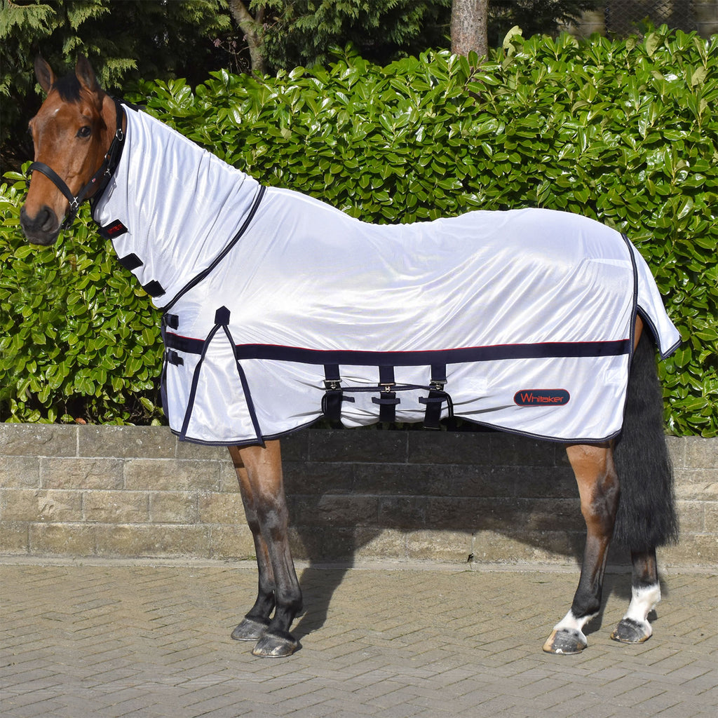 Whitaker R202 Rastrick Fly Mesh with Fixed Hood White