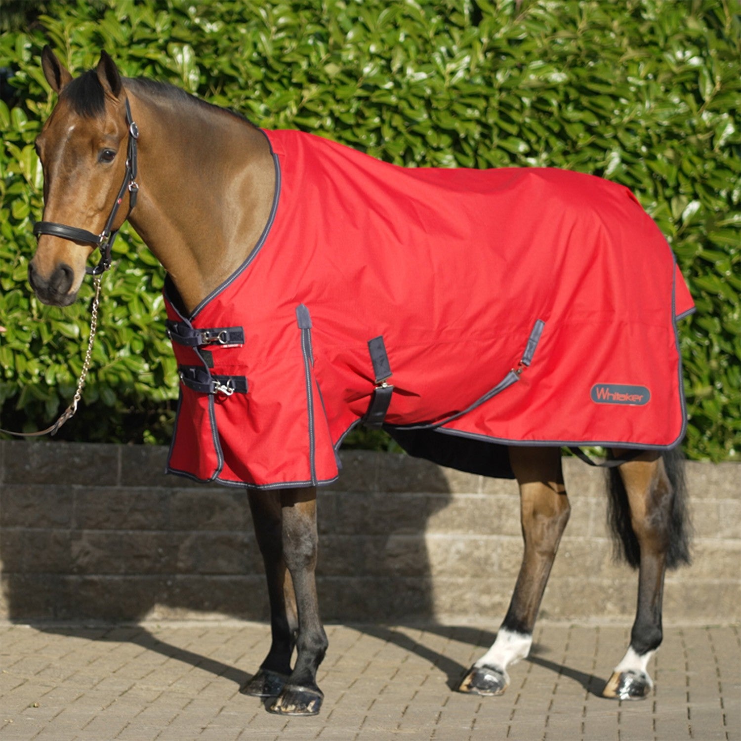 Whitaker R189s Rastrick 0g Lightweight Turnout Rug Red