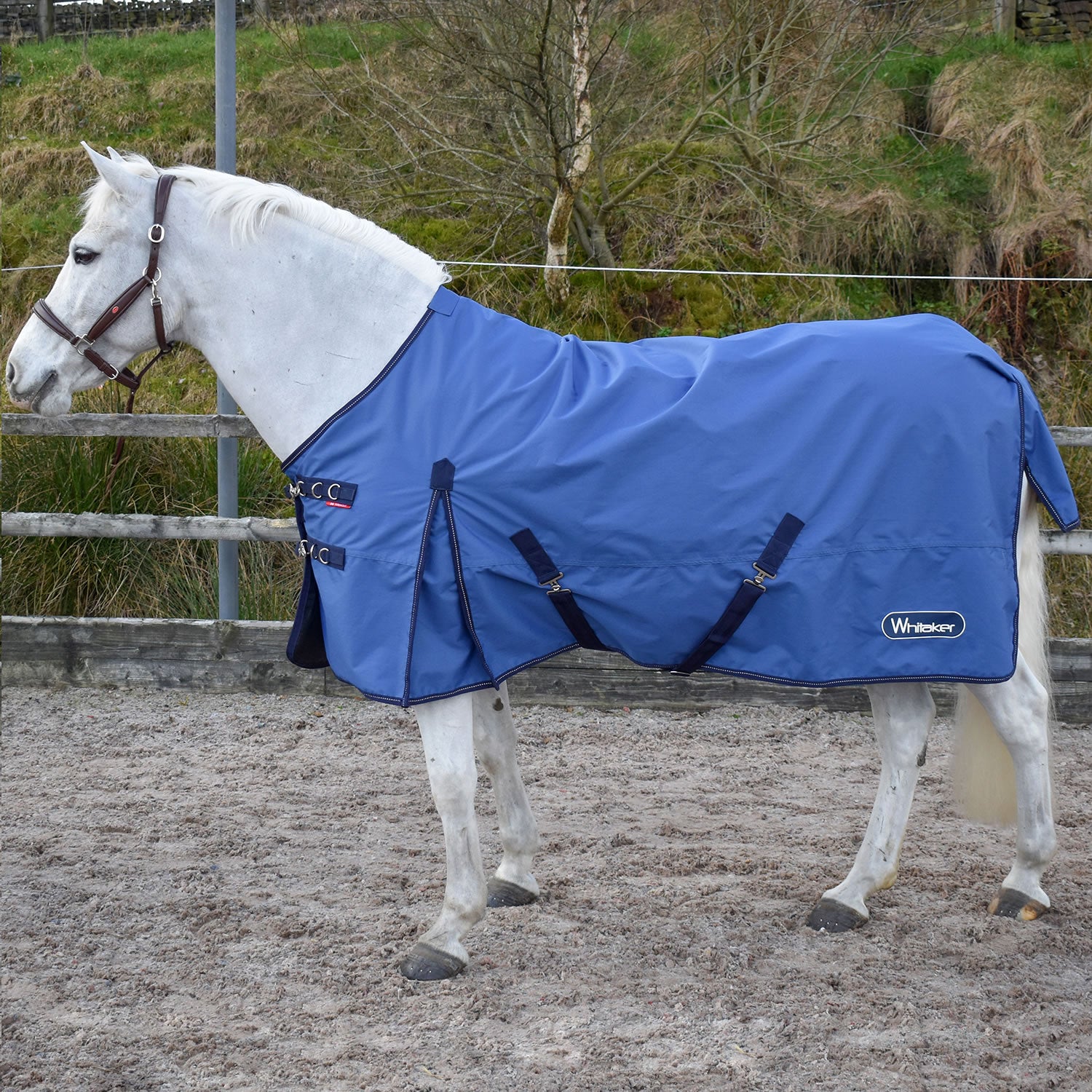 Whitaker R189s Rastrick 0g Lightweight Turnout Rug Blue