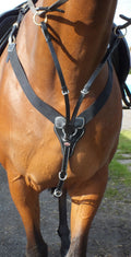 Whitaker Bp048av Eastwood Elasticated Breastplate Black