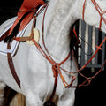 Whitaker Bp052 Valencia 5 Point Breastplate Havana