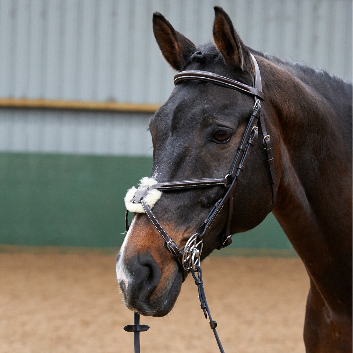 Whitaker Br050a Eastwood Mexican Bridle C/w Reins Havana