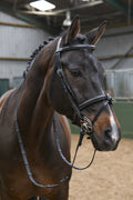 Whitaker Br051a Eastwood Raised Flash Bridle C/w Reins Black