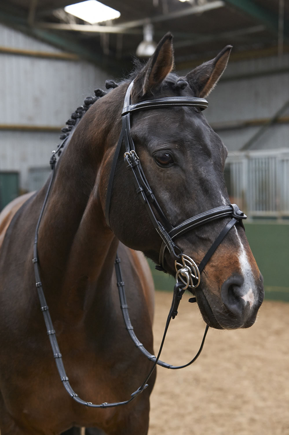 Whitaker Br051a Eastwood Raised Flash Bridle C/w Reins Black