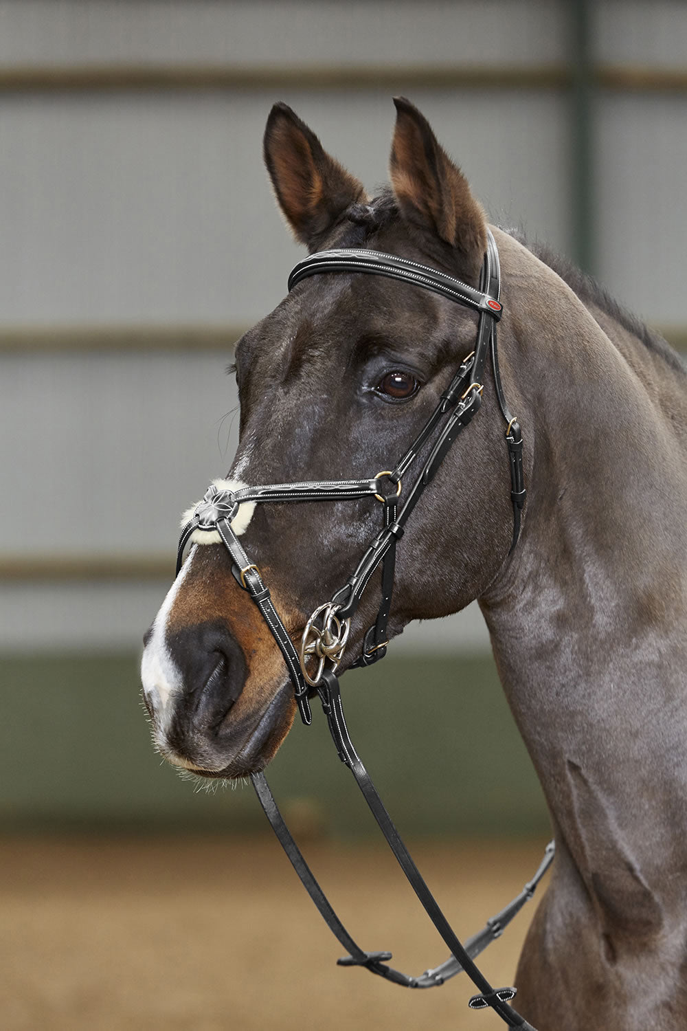 Whitaker Br052 Valencia Deluxmexican Bridle C/w Reins Black