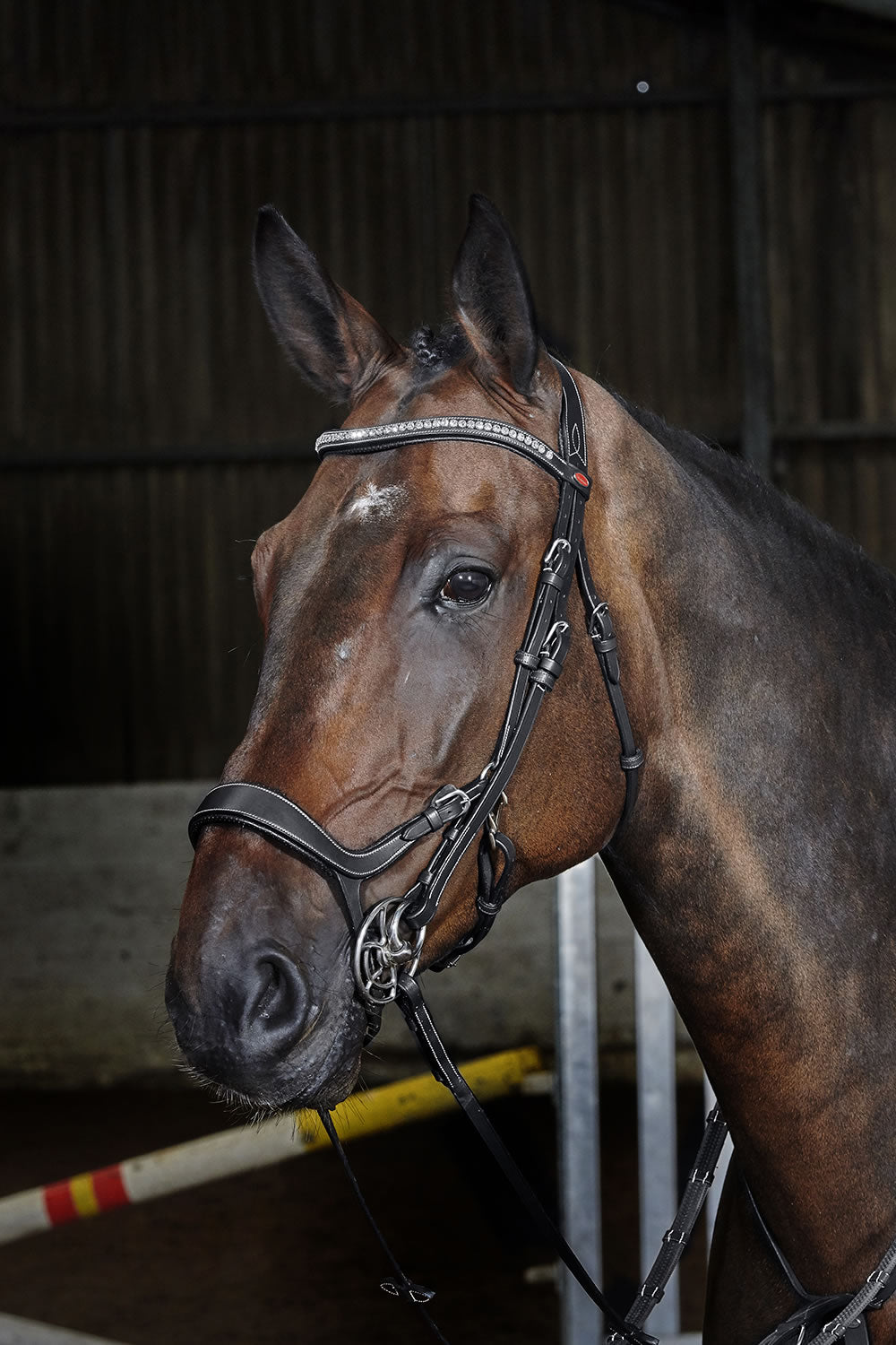 Whitaker Br070 Chicago Anatomic Bridle C/w Reins Black