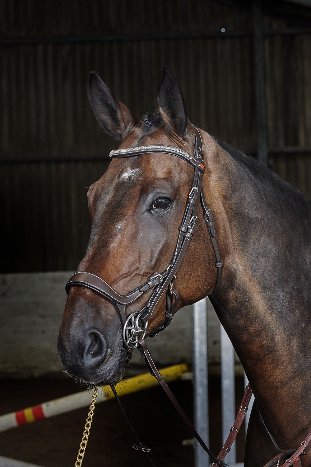 Whitaker Br070 Chicago Anatomic Bridle C/w Reins Havana