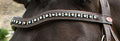 Whitaker Br073bb Lynton Curved Diamante Browband Havana