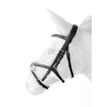 Whitaker Br101 Vienna Mexicanbridle with Reins
