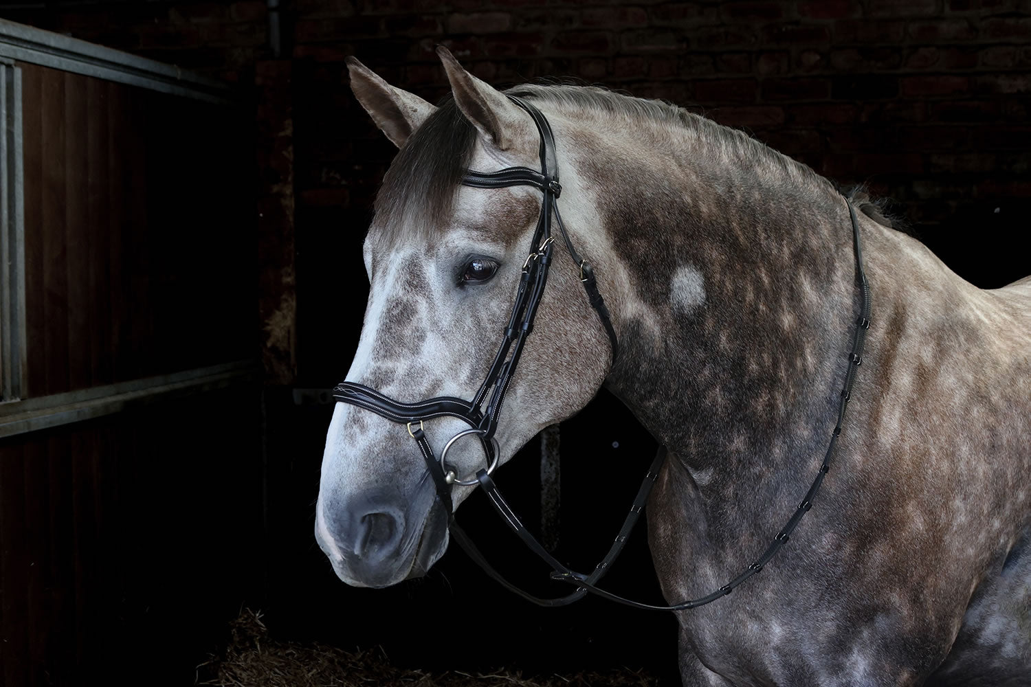 Whitaker Br103 Stockholm Anatomic Bridle Black
